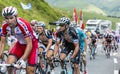 The Cyclist Alessandro Petacchi - Tour de France 2014